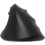 Мышь Oklick 688MW ERGO Black (2070320)