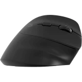 Мышь Oklick 688MW ERGO Black (2070320)