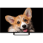 ЖК телевизор TopDevice 32" TDTV32CS03H Black - TDTV32CS03H_BK