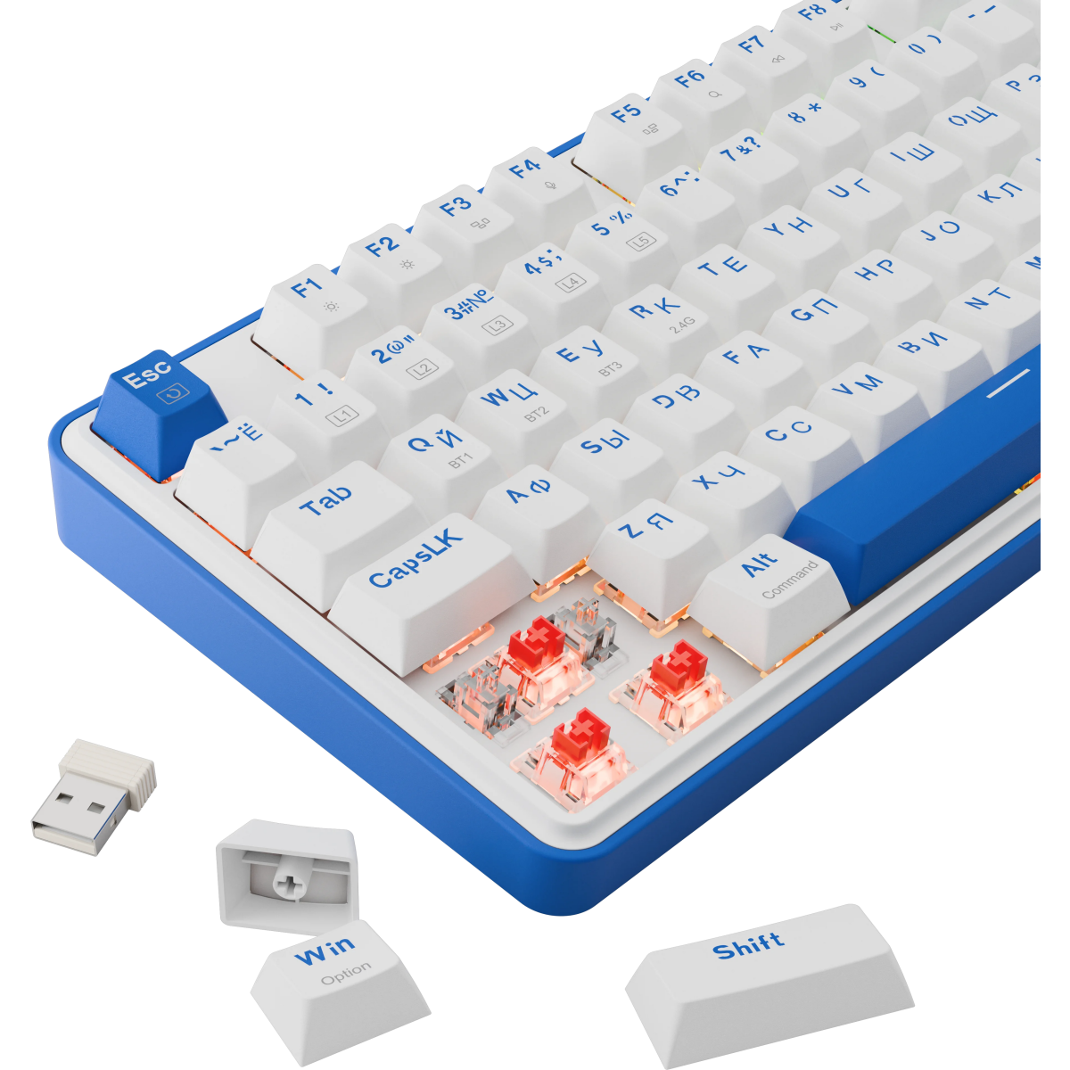Клавиатура Redragon Faye Pro White/Blue (72257) - фото 9