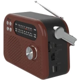 Радиоприёмник Ritmix RPR-045 Chocolate