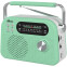 Радиоприёмник Ritmix RPR-045 Mint