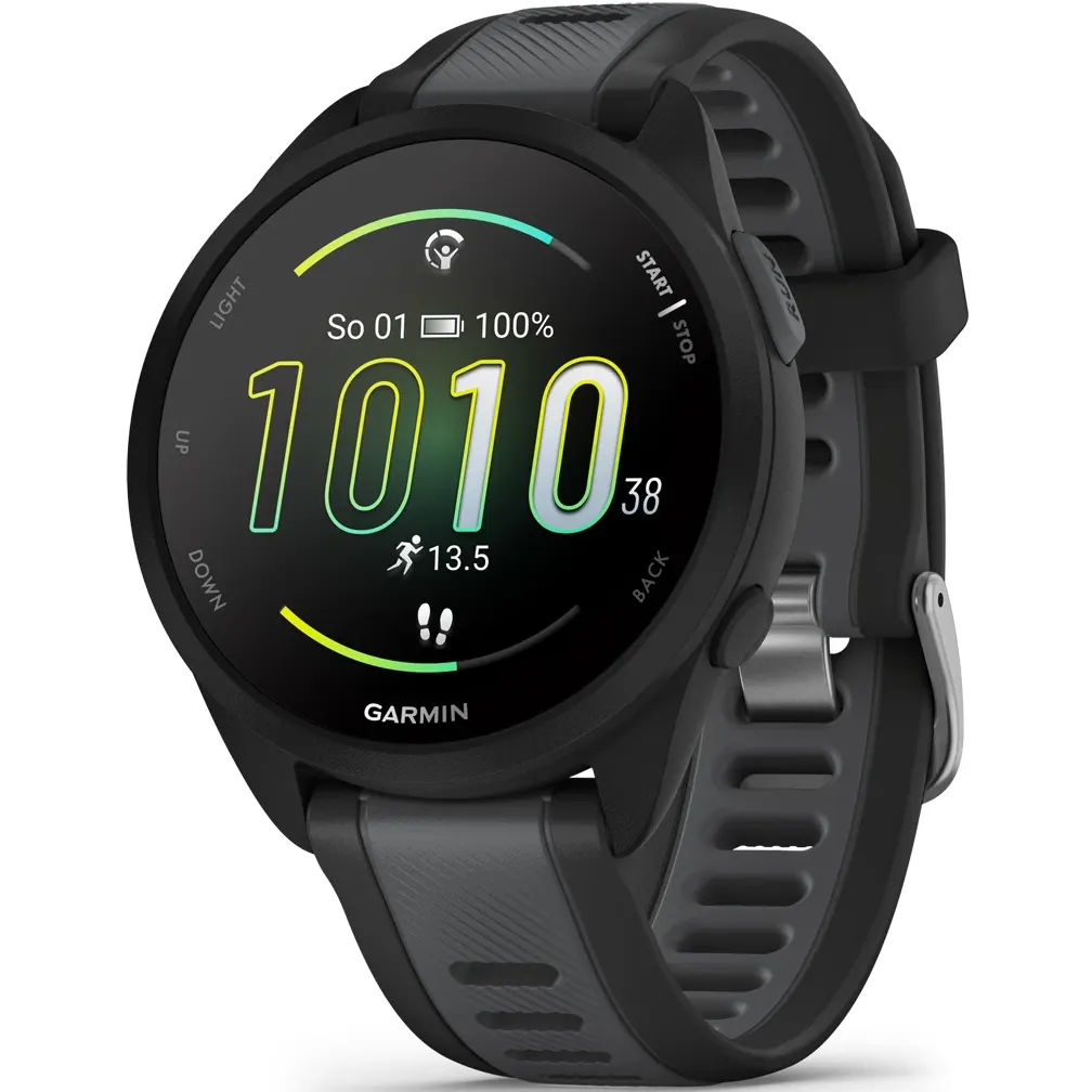Умные часы Garmin Forerunner 165 Mist Black/Slate Gray - 010-02863-20