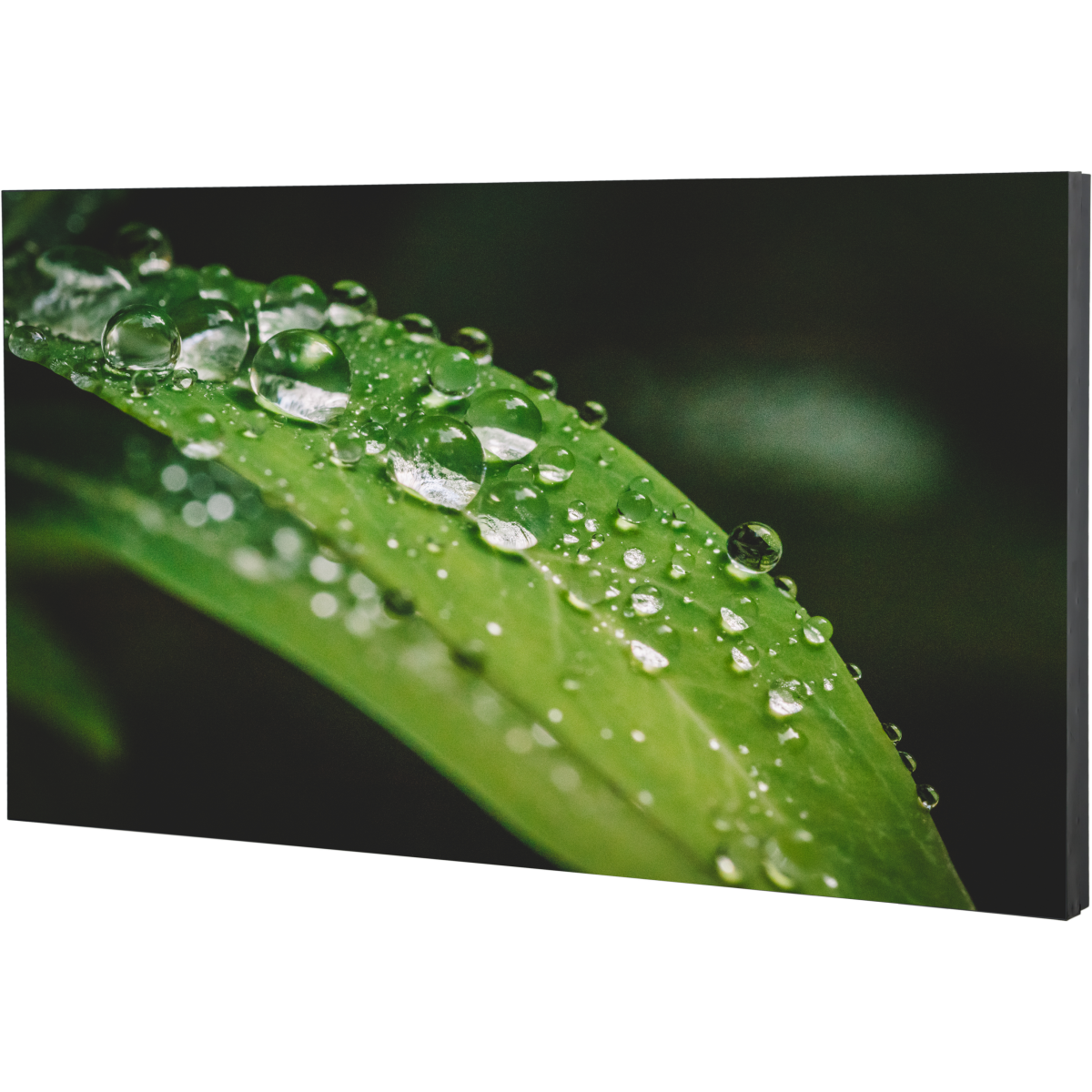 ЖК панель Dahua 55" DHI-LS550UCM-UF - фото 3