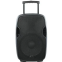 Акустическая система Gemini Sound AS-15TOGO - фото 4