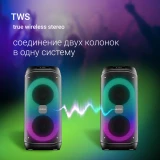 Портативная акустика Digma D-MC1722 Black (AS1722B)