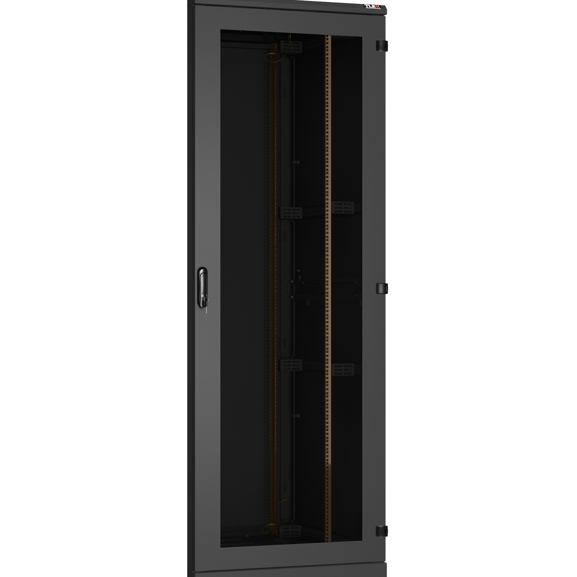 Дверь для шкафа TLK TFA-4780-G-R-BK