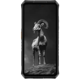 Смартфон Ulefone Armor 28 Pro 16/512Gb Black (6975326668255)