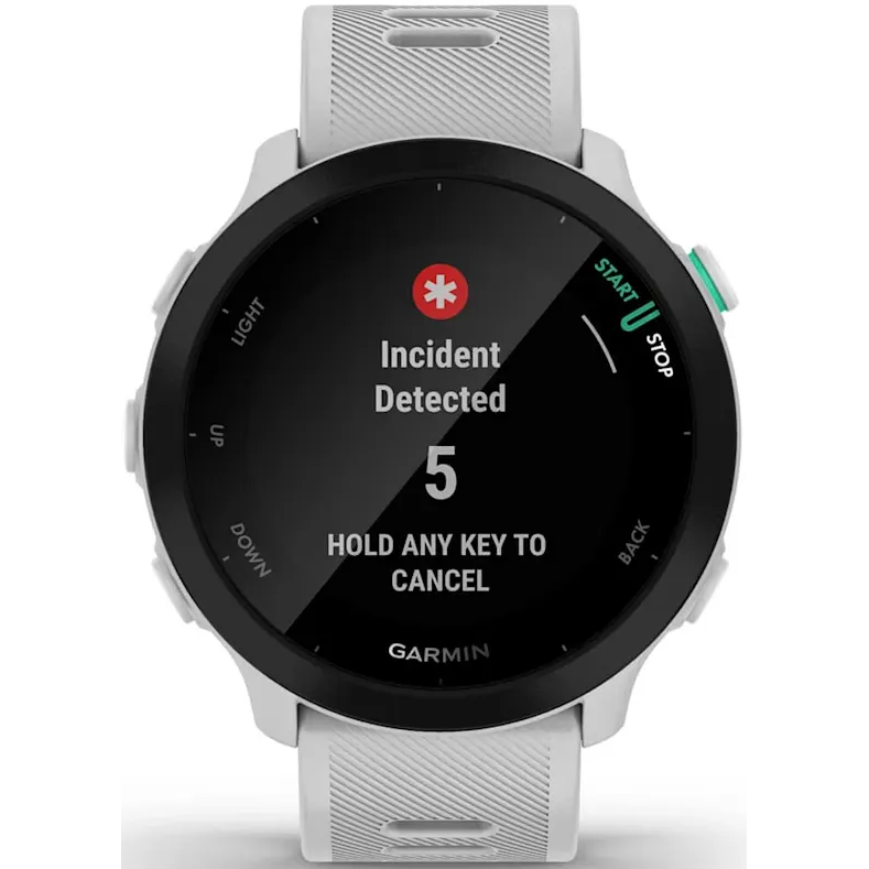 Умные часы Garmin Forerunner 55 White Stone (010-02562-11) - фото 2