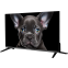 ЖК телевизор TopDevice 24" TDTV24CS08H Black - TDTV24CS08H_BK - фото 2