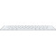 Клавиатура Apple Magic Keyboard (USB-C) Russian (MXCL3) - MXCL3RS/A - фото 3