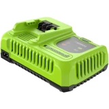 Зарядное устройство Greenworks G24C8 (2958707)