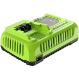 Зарядное устройство Greenworks G24C8 (2958707)