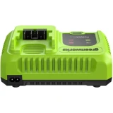 Зарядное устройство Greenworks G24C8 (2958707)