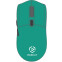 Мышь Raskat MG009WR Green