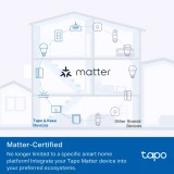 Умная розетка TP-Link Tapo P100M (1 шт.) (Tapo P100M(1-pack))