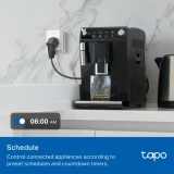 Умная розетка TP-Link Tapo P100M (1 шт.) (Tapo P100M(1-pack))