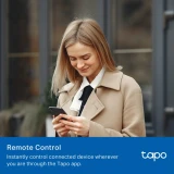 Умная розетка TP-Link Tapo P100M (1 шт.) (Tapo P100M(1-pack))