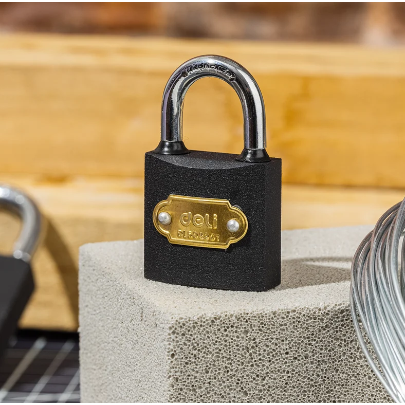Замок навесной Deli DL508901 - фото 3