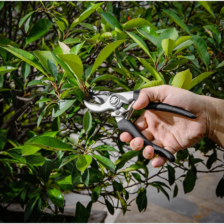 Кусторез Deli DL580002 - фото 5