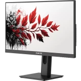 Монитор RDW Computers 27" RDW2701K (F08B3100V2A1) (RDW2701K/F08B3100V2A1)