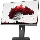 Монитор RDW Computers 24" 2402K (F13B360V2A1) (RDW2402K/F13B360V2A1)