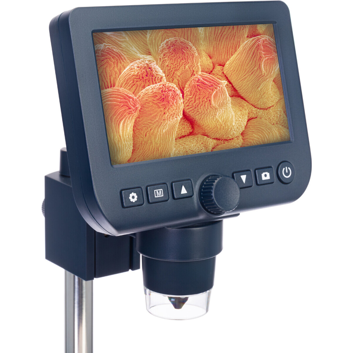 Микроскоп Levenhuk Discovery Artisan 64 - 78161 - фото 4