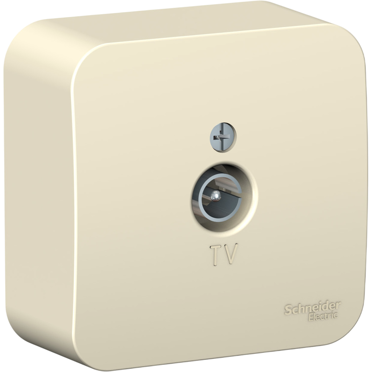 Розетка TV Schneider Electric BLNTA000012