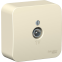 Розетка TV Schneider Electric BLNTA000012