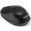 Мышь ExeGate Professional Standard SR-9005 Black - EX298896RUS - фото 2