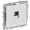 Розетка RJ-45 IEK BR-K10-1-K91