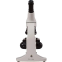 Микроскоп Levenhuk Rainbow 50L Plus - 69051 - фото 6