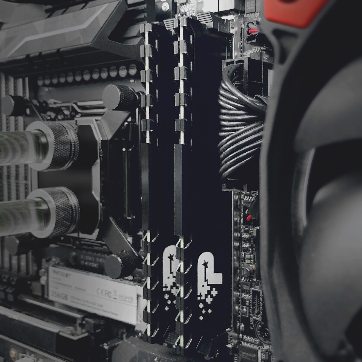 Оперативная память 8Gb DDR4 2666MHz Patriot Signature Premium Line (PSP48G2666H1) - фото 6