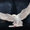 Фигурка Noble Collection Harry Potter Hedwig Owl Post - NN8965 - фото 2