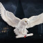 Фигурка Noble Collection Harry Potter Hedwig Owl Post - NN8965 - фото 4