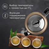 Чайник REDMOND KM238 Champagne