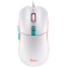 Мышь SmartBuy RUSH X22 White - SBM-752G-W