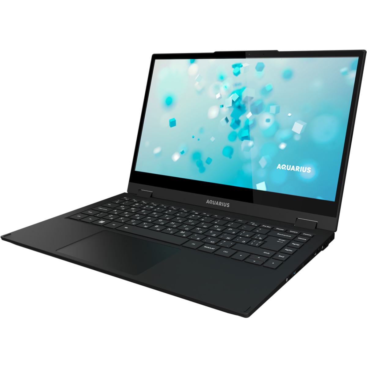 Ноутбук Aquarius AQbook NS483 исп.2 (QCN-NS4831525116Q151E90NT2NNNN2) - фото 5