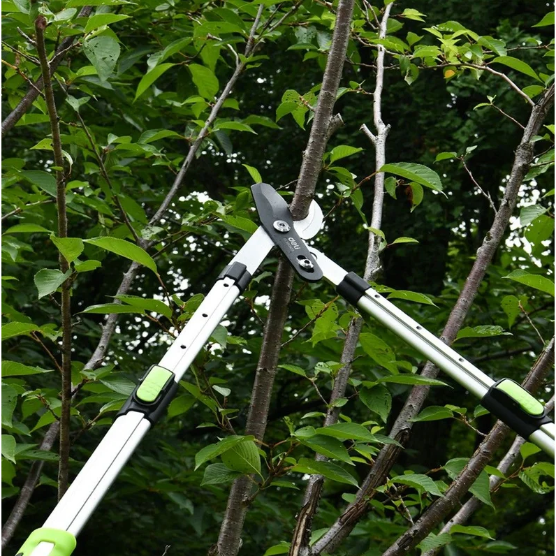 Сучкорез Deli DL580423 - фото 4