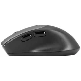 Мышь ExeGate Professional Standard BT-070 Black (EX298897RUS)