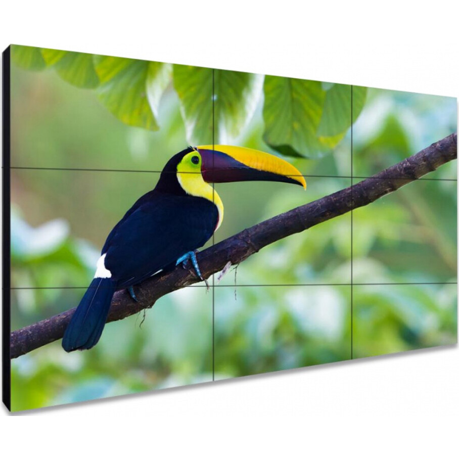 ЖК панель Exell 55" EXPD-WA55AB35