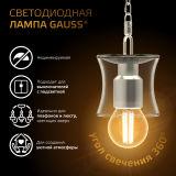 Филаментная лампочка Gauss Filament Globe 2700K (5 Вт, E27) (10 шт.) (105802105)