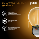 Филаментная лампочка Gauss Filament Globe 2700K (5 Вт, E27) (10 шт.) (105802105)