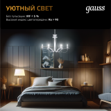 Филаментная лампочка Gauss Filament Globe 2700K (5 Вт, E27) (10 шт.) (105802105)