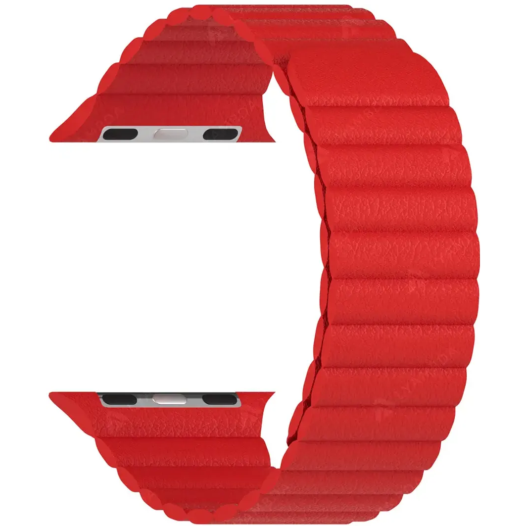 Ремешок Lyambda Pollux DSP-24-40-RD