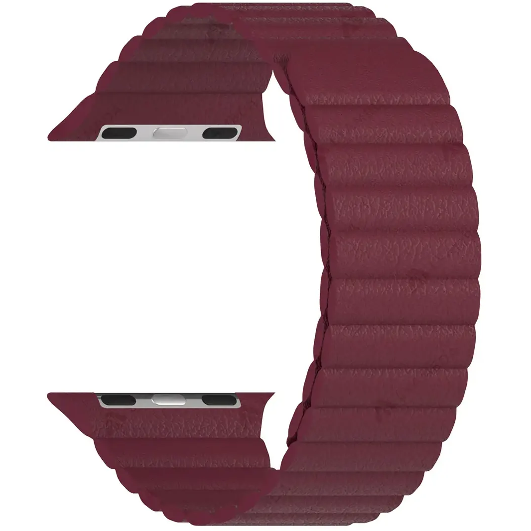 Ремешок Lyambda Pollux DSP-24-40-WR