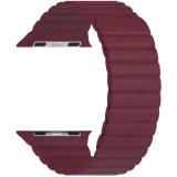 Ремешок Lyambda Pollux DSP-24-40-WR