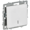 Выключатель IEK BRITE BR-V12-1-10-K91