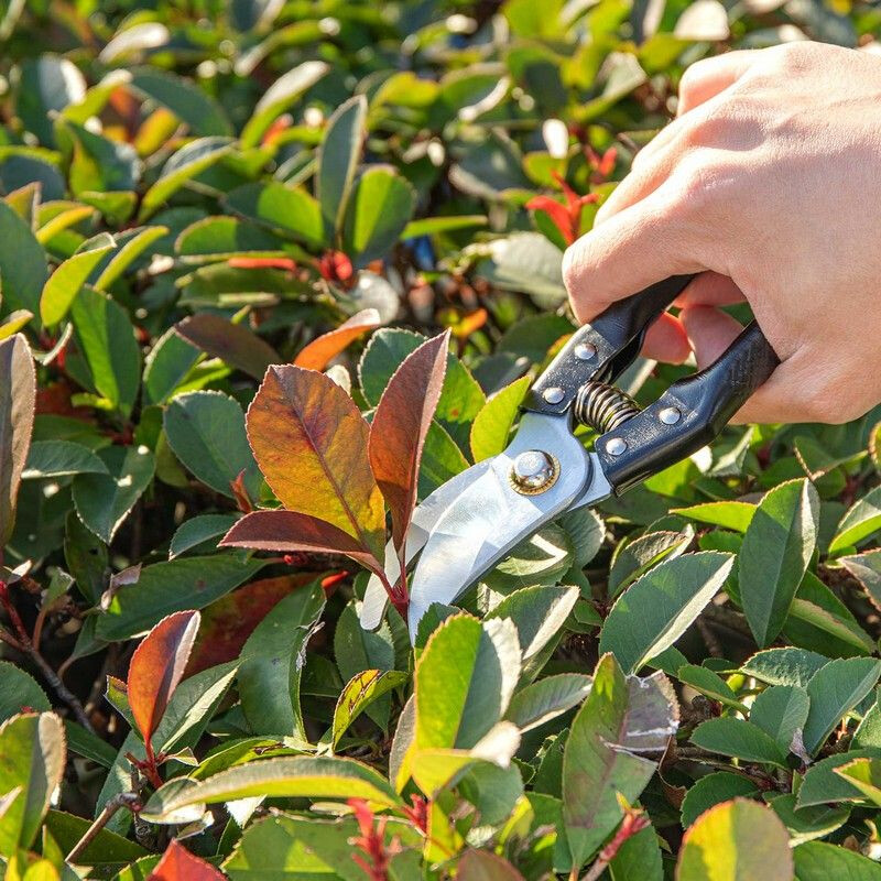 Секатор Deli DL580200 - фото 5