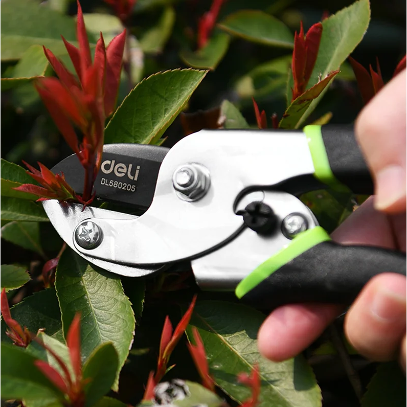 Секатор Deli DL580205 - фото 2